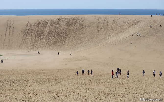 Tottori is located in the western part of the Sanin Kaigan GeoPark