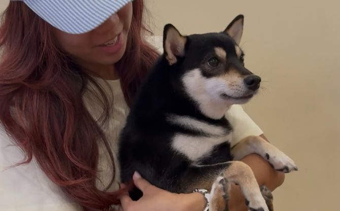 A Kid-Friendly Guide To Mount Austin, JB 1 shiba cafe