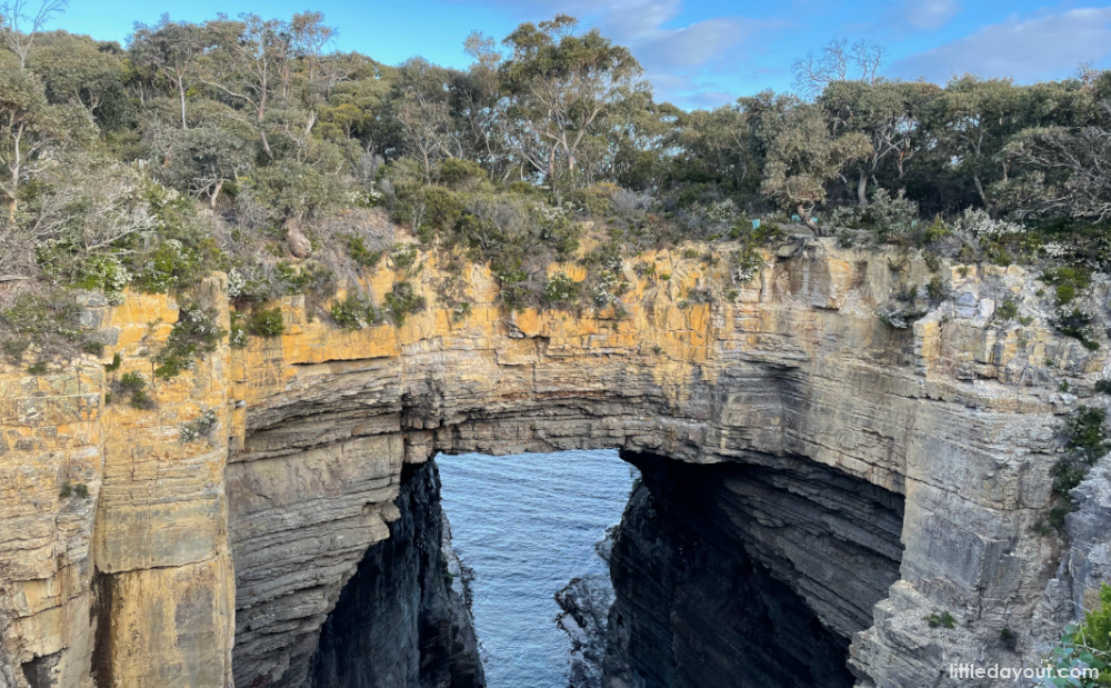 Tasmania