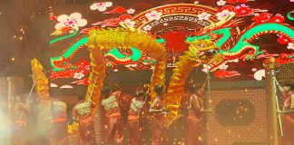 33-spring-surprise-2020