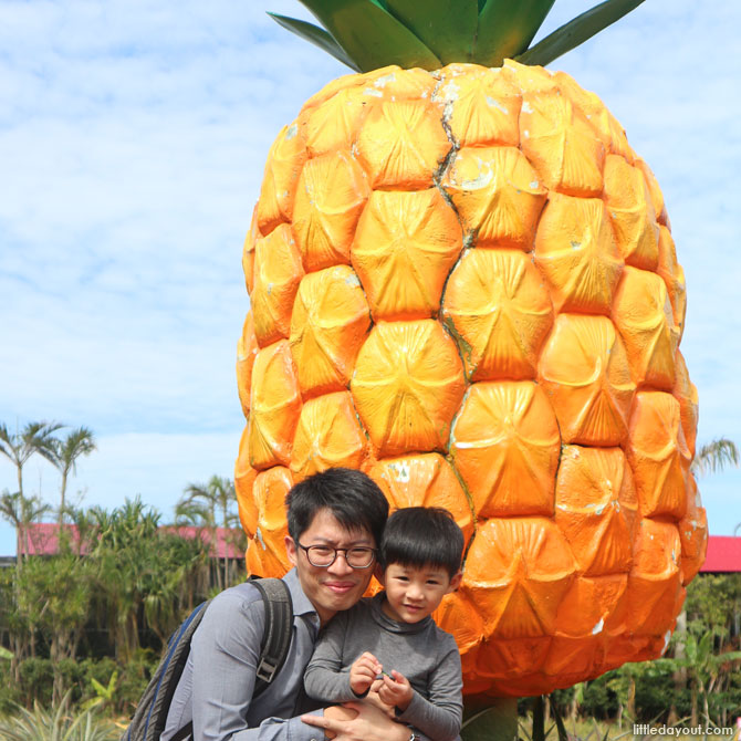 Nago Pineapple Park