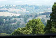 Over 20 Kid-friendly Places To Explore In Melbourne (And Beyond) 35-melbourne-family-holiday-puffing-billy-picking
