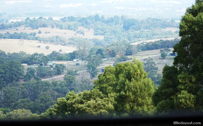 Scenic views from Puffing Billy.