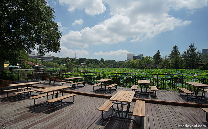 Ueno Zoo's West Garden