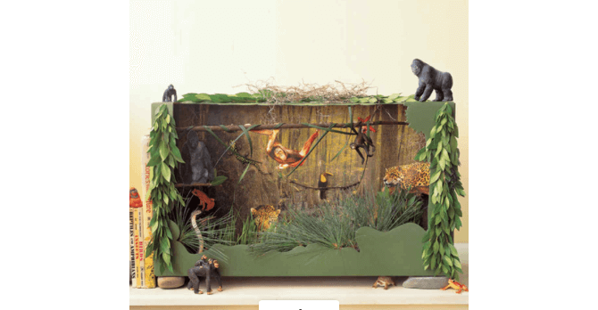 Jungle Diorama