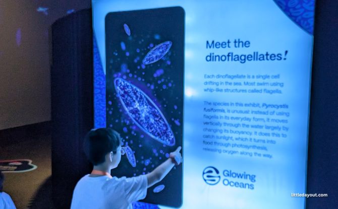 Glowing Oceans 4 Glowing Oceans: Touch Plankton & See Them Light Up