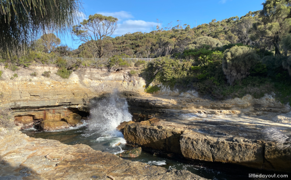 tasmania