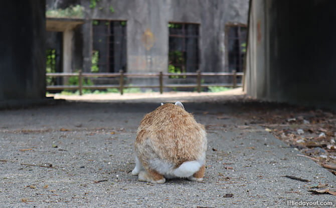 Okunoshima