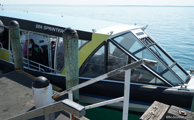 Sea Sprinter, the boat which brought us out to Seal Rocks.