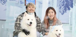 Ice Magic Launches Singapore’s First-Ever Dog Winter Event - 4 Paws @ Ice Magic
