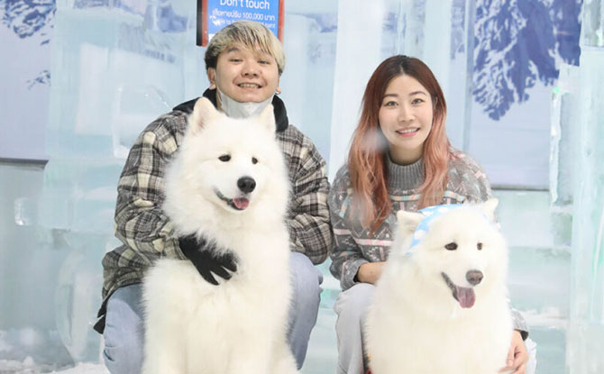 Ice Magic Launches Singapore’s First-Ever Dog Winter Event - 4 Paws @ Ice Magic