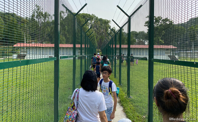 We got a sense of the tight security that those who were kept on the island were subjected to as we walked between high fences at the assembly area, where soccer was often played.