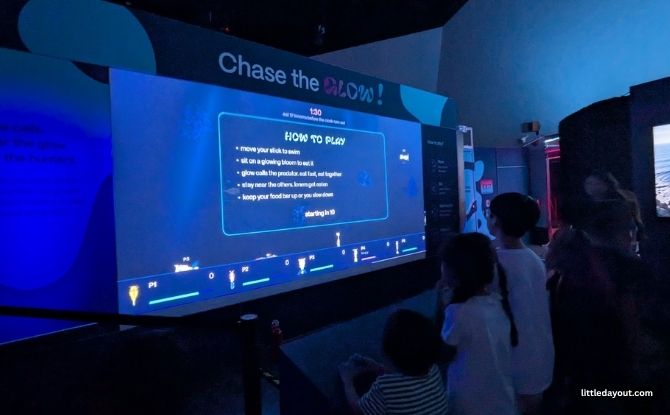 Glowing Oceans: Touch Plankton & See Them Light Up 3 5 22