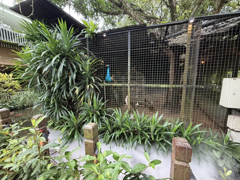 Amazing List Of 50+ Kid-Friendly Cafes & Restaurants With Playgrounds & Play Spaces 2 545978996 1407773138024135 7456443081395586292 n