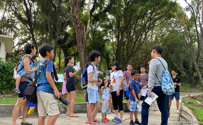Participants standing right outside the area where quarantined migrants used to stay, which has since been turned into a campsite. This was also where they learnt about the heritage trees on the island.