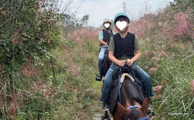 8-Day Itinerary To Chengdu: Teen-friendly Things To Do 10 6 19
