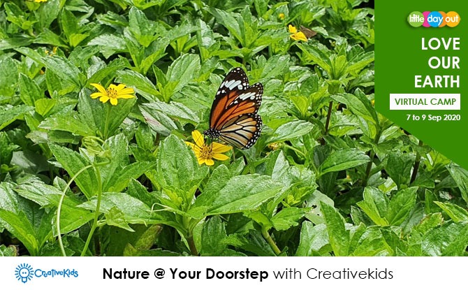 September Holiday Virtual Camps 2020: CreativeKids - Nature @ Your Doorstep