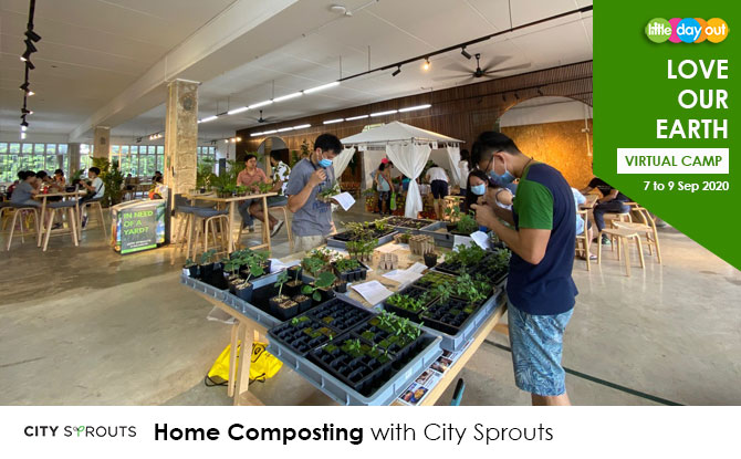 September Holiday Virtual Camps 2020: Love Our Earth Camp - City Sprouts