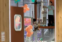 AEON Mall Tebrau City: 9 Kid-Friendly Shops & Things To Do