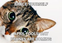 April Fools' Memes: Perfect For Pranksters & April 1 Jesters