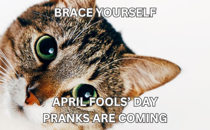 April Fools' Memes: Perfect For Pranksters & April 1 Jesters