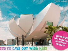 B50DO-2015-FBContest-ArtScience-754x503