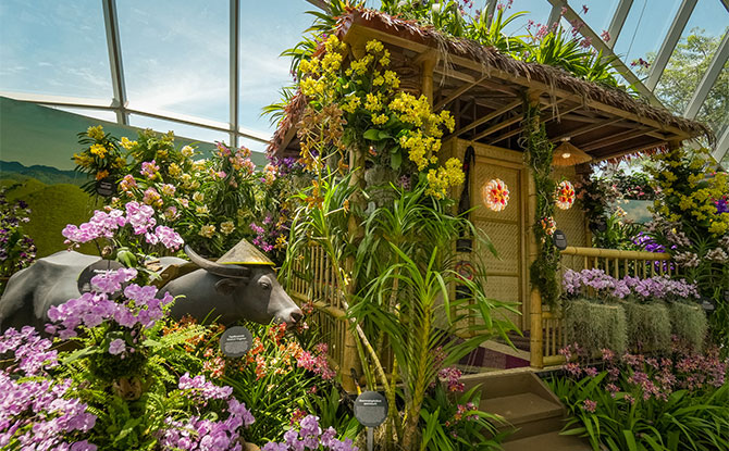 Gardens By The Bahay Kubo: A Fiesta Of Orchids At Cloud Forest 2 Bahay Kubo, Other Artefacts & Biodiversity on Display