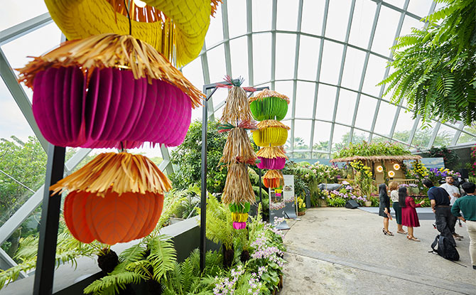 Gardens By The Bahay Kubo: A Fiesta Of Orchids At Cloud Forest 4 Parol