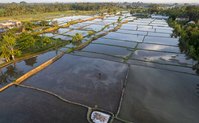 Bali miraculovemoments 02