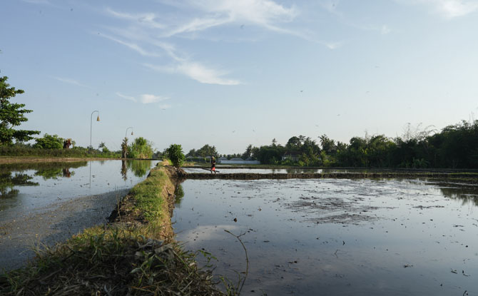 Bali miraculovemoments 15