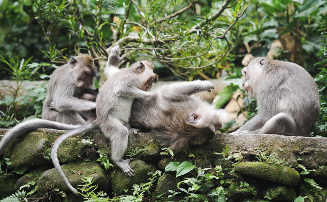 Bali miraculovemoments 24