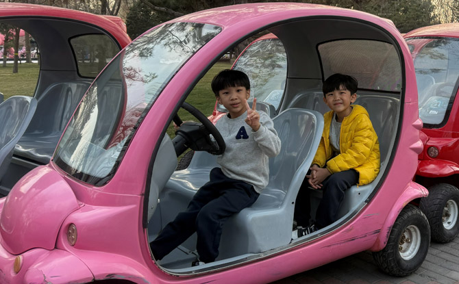 Beijing Daxing Wildlife Park: Our Favourite Zoo Ever! 7 Safari Zone: A Structured Wildlife Journey