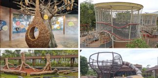 Ultimate Guide To Bird Paradise Playgrounds & Playspots
