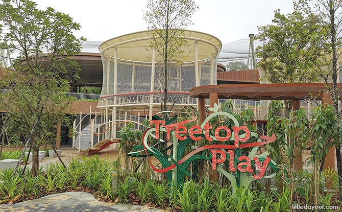 Treetop Play