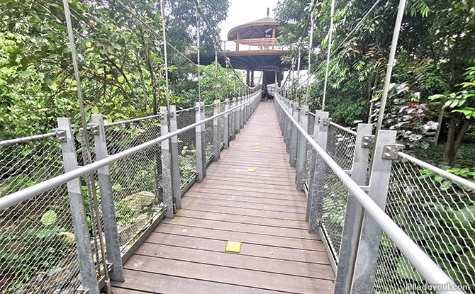 Balafon Bridge at Heart of Africa