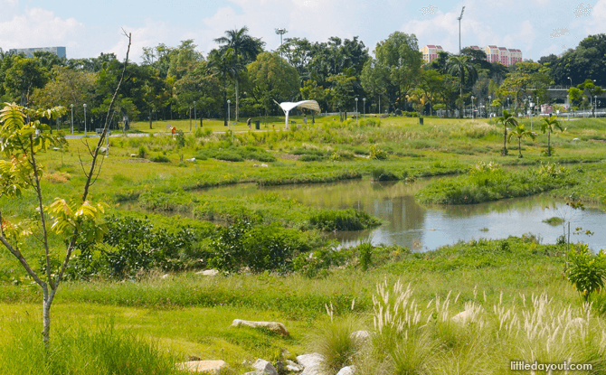 Bishan Ang Mo Kio Park - Things to Do during the March School Holidays 2021