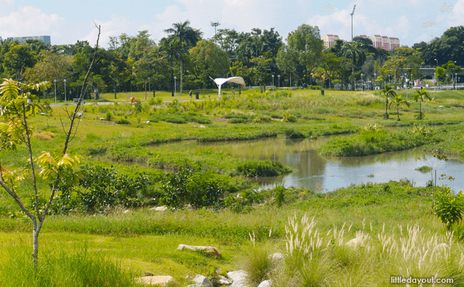 Bishan Ang Mo Kio Park River