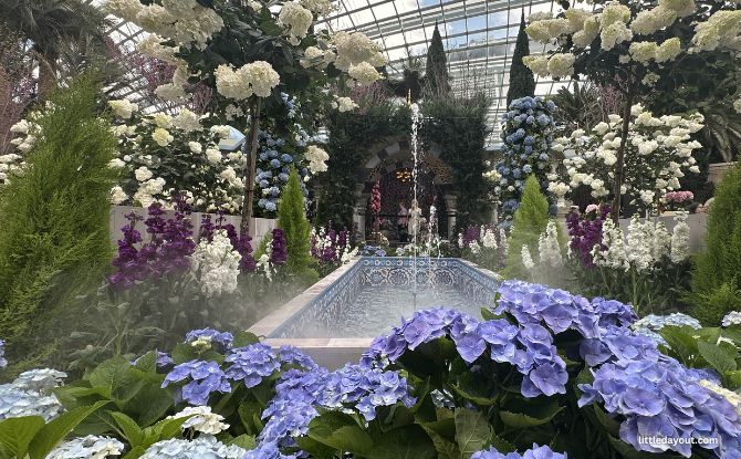 Blue Beauties At Gardens By The Bay: Hydrangeas And The Grandeur Of Türkiye 5 Hydrangeas in Blue