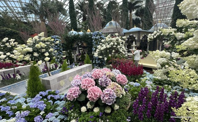 Blue Beauties At Gardens By The Bay: Hydrangeas And The Grandeur Of Türkiye Blue Beauties At Gardens By The Bay: Hydrangeas And The Grandeur Of Türkiye