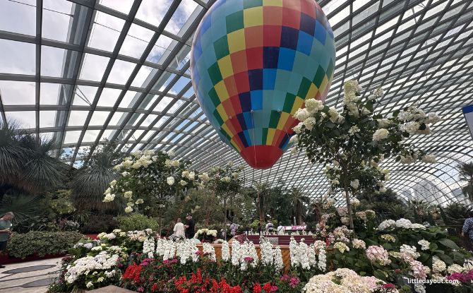 Blue Beauties At Gardens By The Bay: Hydrangeas And The Grandeur Of Türkiye 2 Welcomed by A Hot Air Balloon