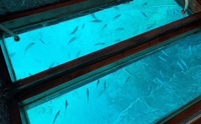 Egypt With Kids: 12-Day Family-Friendly Itinerary & Why Choose All-Inclusive Package Tour 7 glass-bottomed boat tour