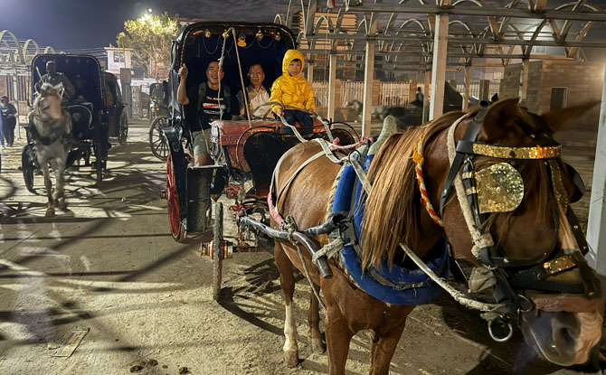 Egypt With Kids: 12-Day Family-Friendly Itinerary & Why Choose All-Inclusive Package Tour 13 those travelling with young children and elderly parents