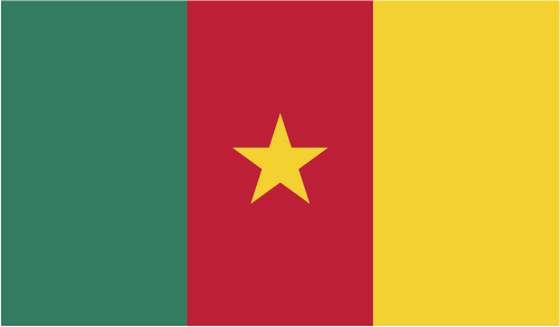Description of Cameroon Country Flag