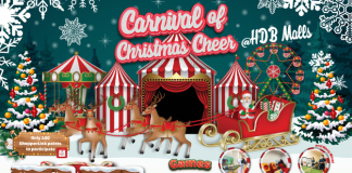 Carnival of Christmas Cheer December 2025 at Plantation Plaza Northshore Plaza
