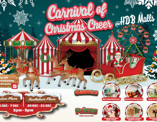 Carnival of Christmas Cheer December 2025 at Plantation Plaza Northshore Plaza