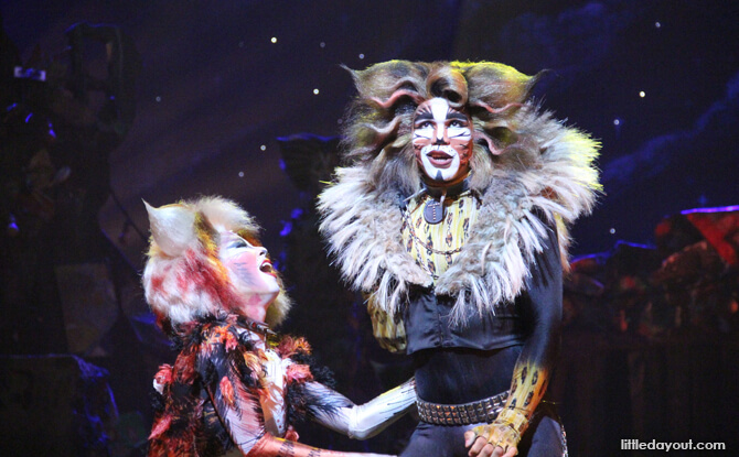 CATS the Musical