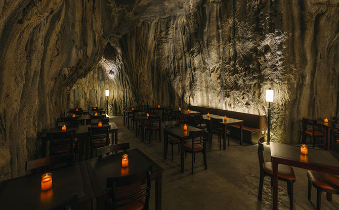 Rainforest Wild Asia Food and Restaurants