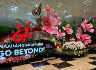 Things To Do This National Day Weekend In Singapore: 8 To 9 August 2026 Things To Do This National Day Weekend In Singapore: 8 To 9 August 2026