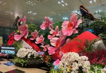 Changi Airport Celebrates National Day With Giant Floral Displays, Live Performances, Meet-and-Greets Changi Airport Celebrates National Day With Giant Floral Displays, Live Performances, Meet-and-Greets