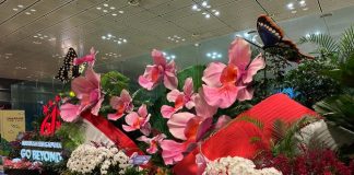 Changi Airport Celebrates National Day With Giant Floral Displays, Live Performances, Meet-and-Greets